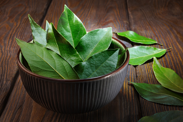 Bay Leaf
