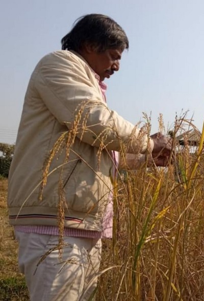 Dr. Ashok Saha
